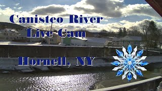 Canisteo River Live Cam 24/7 - Hornell, New York - 1-21-2025