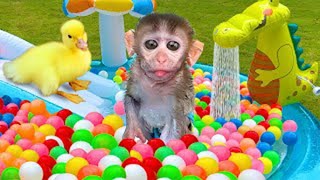Baby Monkey Chu Chu Plays Water Park With Puppies And Eats Ice Cream So Yummy Kids Cartoon | F