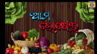 ଅଦା ହେଙ୍ଗୁ ଖେଚୁଡ଼ି ଏବଂ ମନ୍ଦିର ବେସର ର ରୋଷେଇ ପ୍ରଣାଳୀ || Ama Rosei