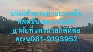 นครนายกทำเลธรรมชาติน้ำไม่ท่วมปลอดภัยจากโควิดที่พักอาศัยพร้อมสาธารณูปโภคราคากันเองติดต่อนุ081-9193952