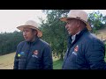 mora uva orgánica agricultura limpia 60 kilos semanales tvagro por juan gonzalo angel