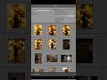 search by lenses in adobe lightroom