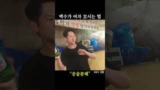 백수가 여자 꼬시는 법 공술분해 \