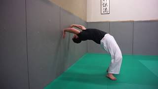 Aiki Taiso Body workout - Rolling on the front, mobility \u0026 curvature - Xavier Dufau