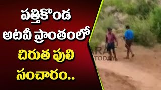 పత్తికొండ అటవీ ప్రాంతంలో చిరుత పులి సంచారం || Kurnool || Bharat Today