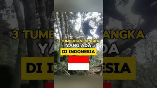 3 Tumbuhan Langka Yang Ada Di Indonesia #tumbuhan #raflesia #faktaunik