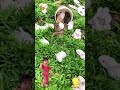 Cute Rabbit  (D309) #shorts #viral  #rabbit