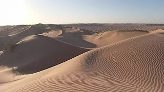 DUBAI, ABU DHABI, BAHRAIN, MUSCAT (Documentary, Discovery, History)