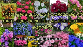 ഒരുപാട് ചെടികൾ വാങ്ങാം ഇപ്പോൾ, വേഗം  വാങ്ങിക്കോളു #gardening #floweringplants