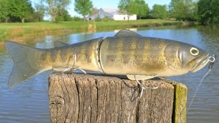 BIG Bait Challenge!!! - Ep.3 ($180 Deps 250)