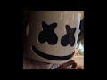 Marshmello in Las Vegas | Various Shows