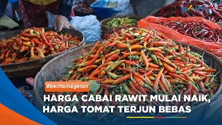 MAGETAN - Harga Cabai Rawit Mulai Naik, Harga Tomat Terjun Bebas