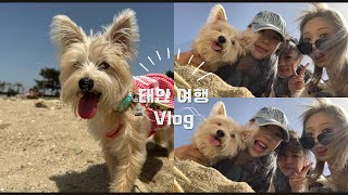 대니랑 두번째 여행|Vlog|태안|애견동반