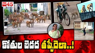 కోతుల బెడద తప్పేదెలా.. || Monkeys Mob Creating Panic Among the People of Peddapalli || TV45