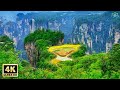 4K Amazing Nature Scenery - Peaceful Relaxing Piano Music For Stress Relief | Soothing Relaxing