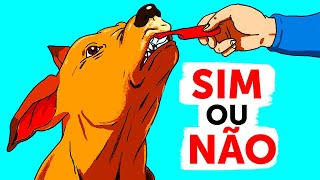 Coisas Que Um Bom Tutor Não Faz Com Seu Cachorro