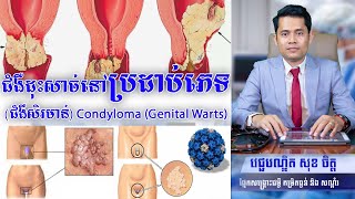 ជំងឺសេរមាន់(Condyloma) Genital Warts- វេជ្ជបណ្ឌិត សុខ ចិត្ត