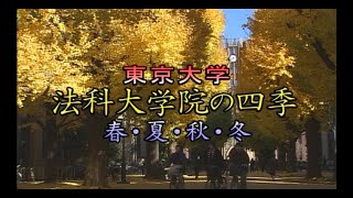 東京大学法科大学院の四季（2006）