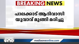 പാലക്കാട് അട്ടപ്പാടിയിൽ ആദിവാസി യുവാവ് മുങ്ങി മരിച്ചു