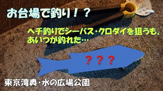 お台場で釣り！？　水の広場公園でシーバスフィッシング