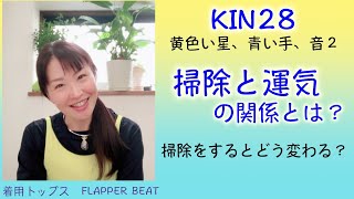 マヤ暦、黄色い星は美が重要。宇宙的にも掃除をすると運気が上がる？エントロピーの法則。KIN28（2021/1/11）今日は黄色い星、青い手、音２。マヤ暦スーパーアドバイザーの鈴木早代子がお送りします。