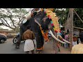 parappukkavu pooram 2021