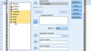 Multiple regression (SPSS)