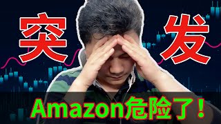 突发！Amazon危险了！一个行业或面临巨额损失！一支股票迎买入机会，潜力巨大！美股分析 STOCK TSLA AMZN NVDA AAL BAC