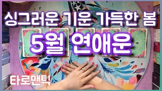 [타로/20년] 5월 연애운