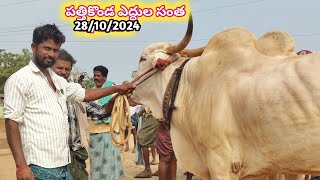 pattikonda Desiya Seema Cattils // Monday Desiya Seema Cattils Market Videos