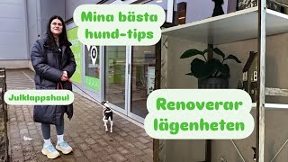 Lägenheten får en Glow Up! 🪚/ Bättre inomhusträning för aktiv hund 🐕