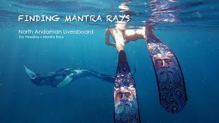 Finding Mantra rays [ Freediving Liveaboard at North Andaman 2022 ]