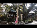 【千葉神社の北辰妙見 天御中主命 】【麻賀多神社の瀬織津姫】奉納舞〜皆様に龍神の御加護がありますように〜 chiba jinja u0026 makata jinja shrine