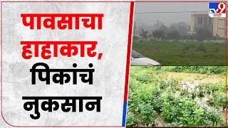 Washim Crop Loss | वाशिममध्ये अतिवृष्टीमुळं लाखो हेक्टर क्षेत्रातील विविध पिकांचं नुकसान