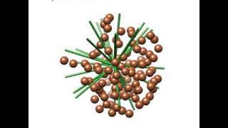 Reconstruction of the 50S Ribosome from the Initial Random Model to the Final Model