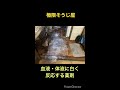 孤独死現場の消毒作業で血液・体液に反応する薬剤