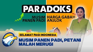 Paradoks: Musim Panen Padi, Petani Justru Merugi - [Selamat Pagi Indonesia]