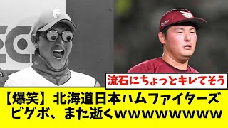 【凡夫】新庄監督、また逝くｗｗｗｗｗ