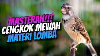 MASTERAN KENARI PAUD CUIT CUIT NGEROL CENGKOK MEWAH - SUARA BLACKTHROAT GACOR NGEROL #02