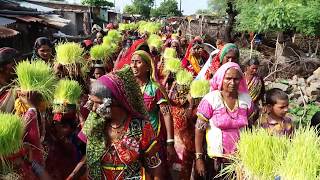 Banjara Teej Rally \u0026 Super Culture Dance by Girls in Akola Rajankhed Tando || 3TV Banjaraa