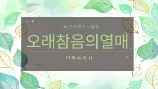 오래참음의열매(안특수목사),축복이흐르는교회(BF Church)새벽예배 설교 (새벽기도,가스펠티비,Gospel TV,가스펠TV,지티비,GTV)