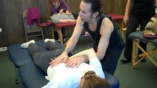 Shoshin Shiatsu Table Work.mp4