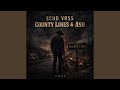 Echoes Don't Fade (feat. Vanthier)