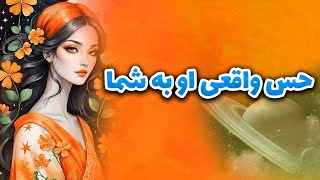 ماتیلدا تاروت - حس واقعی او به شما