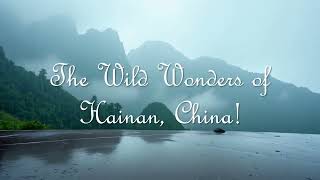 The Wild Wonders of Hainan, China!