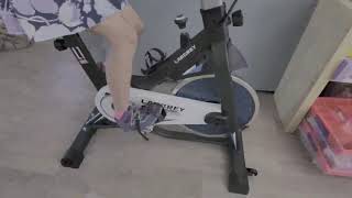 LABGREY Exercise Bike Indoor Cycling Bike Stationary Cycle Bike Review, Sleek Exercise bike even for