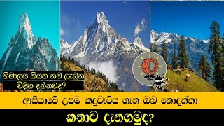 ආසියාවේ උසම කඳුවැටියේ කතාව - MindSpot