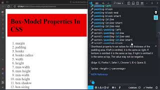 Class 11 CSS Basic Box Model Properties