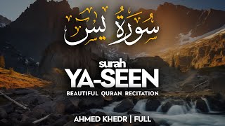 Surah Yaseen (سورة يس) - أحمد خضر | Ahmed Khedr | Melodious Quran Recitation (4K)