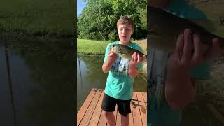 1lb bass on the whopper plopper 🐟🎣#shorts#fishing#fish#lake#pond#dock#bass#bassfishing#release#fyp